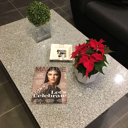 Downtown Center 公寓 巴登-巴登