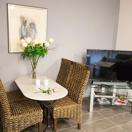 公寓 Downtown Center 巴登-巴登