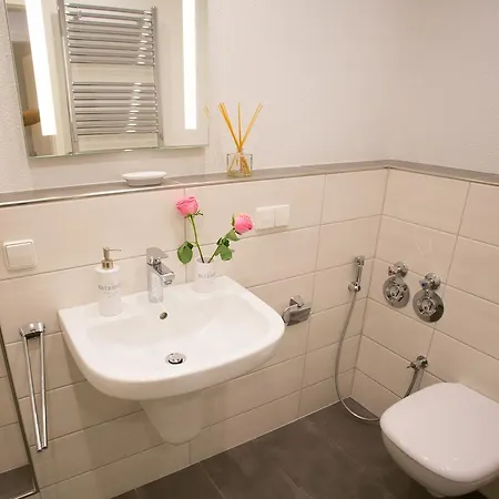 Downtown Center شقة بادن بادن