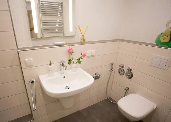 Downtown Center 아파트 바덴바덴